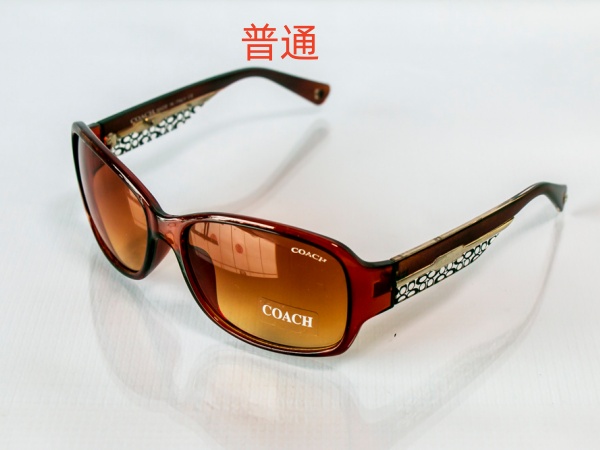 COACH-Sunglass-0035