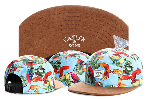 Cayler&Sons Snapbacks-0045