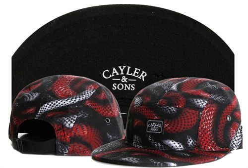 Cayler&Sons Snapbacks-0066