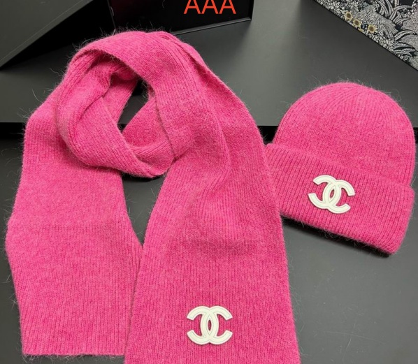 Chanel Hat and scarvf(AAA)-0158