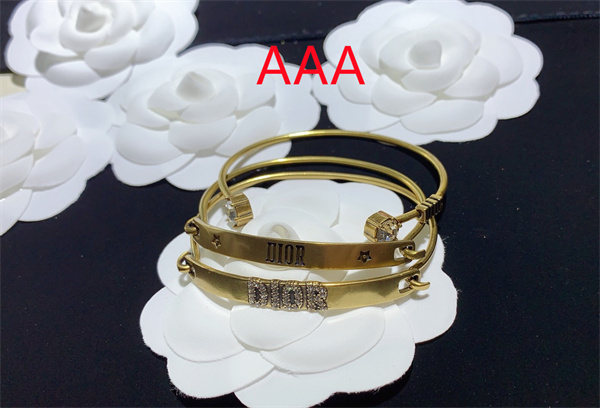 Dior Bangle-008