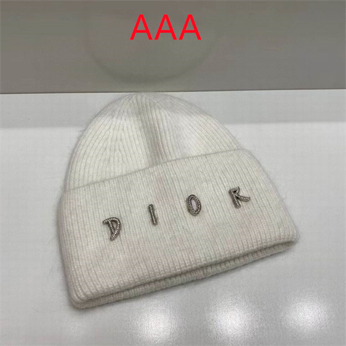 Dior Beanies(AAA)-010