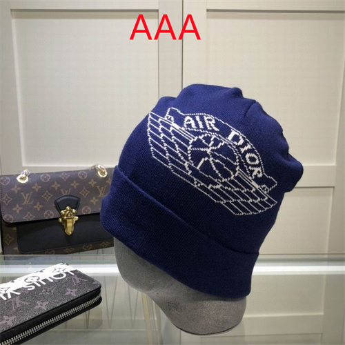 Dior Beanies(AAA)-020