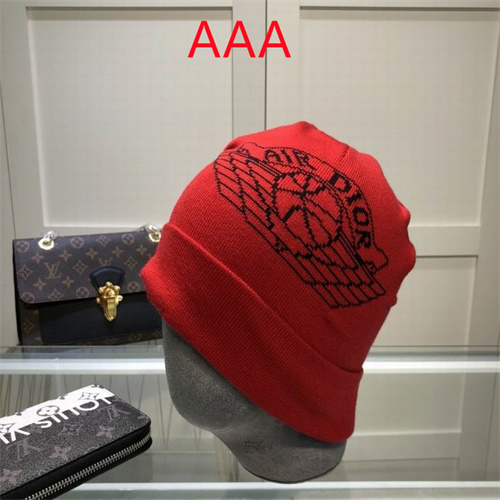Dior Beanies(AAA)-022