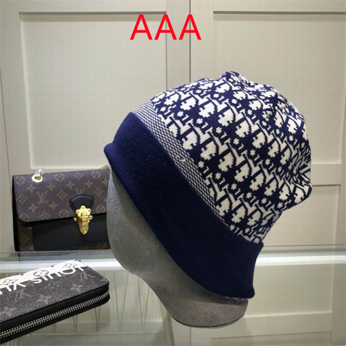 Dior Beanies(AAA)-031