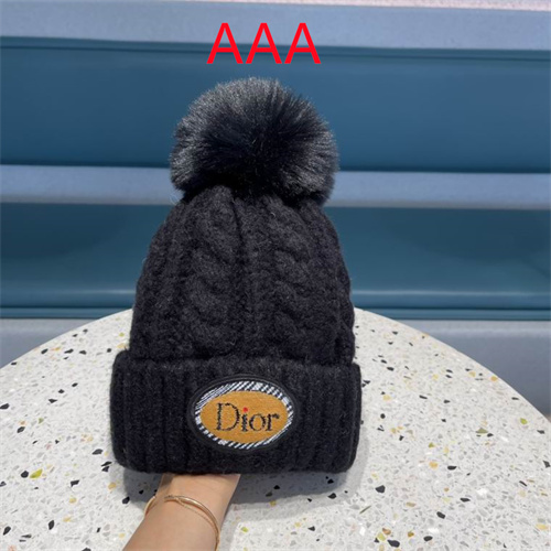 Dior Beanies(AAA)-034