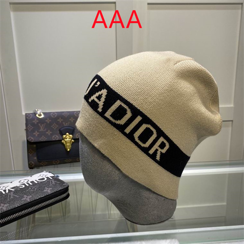 Dior Beanies(AAA)-035