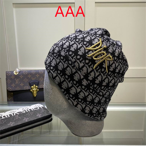 Dior Beanies(AAA)-043