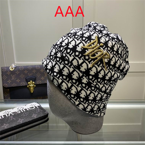 Dior Beanies(AAA)-045