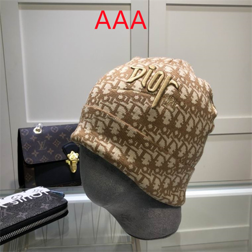 Dior Beanies(AAA)-047