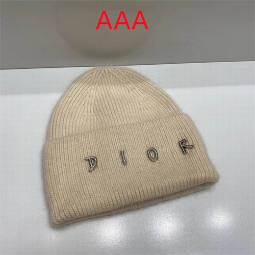 Dior Beanies(AAA)-009