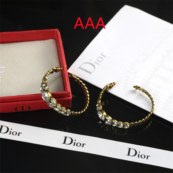 Dior Earrings-110
