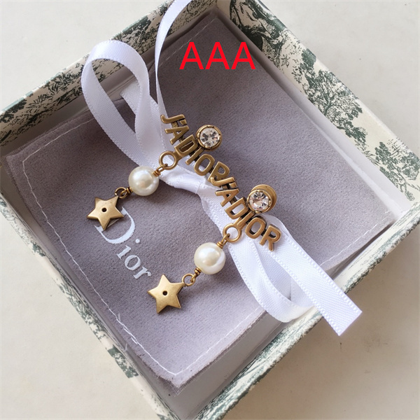 Dior Earrings-118