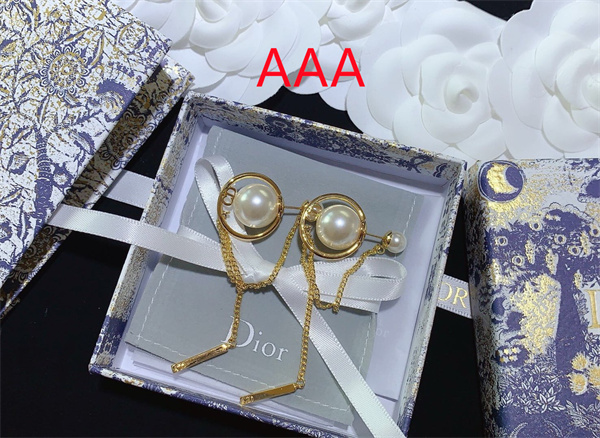 Dior Earrings-122