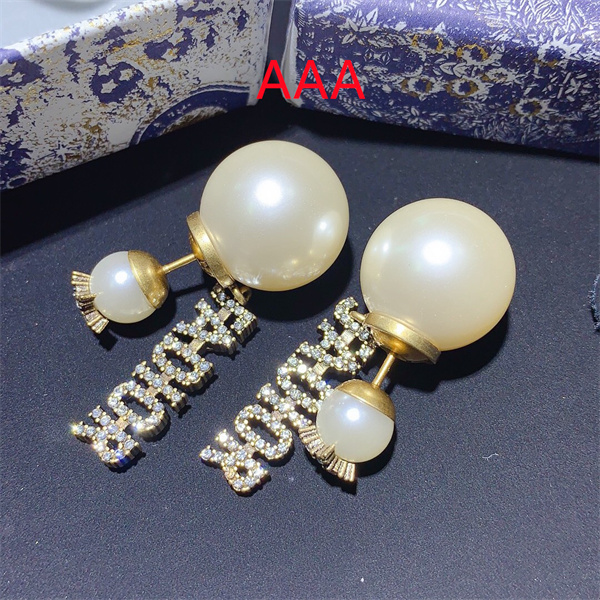 Dior Earrings-123