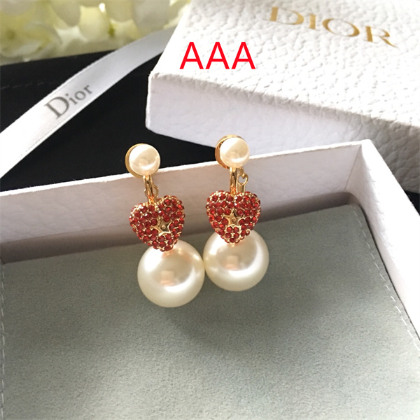 Dior Earrings-133