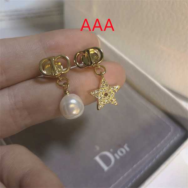 Dior Earrings-140