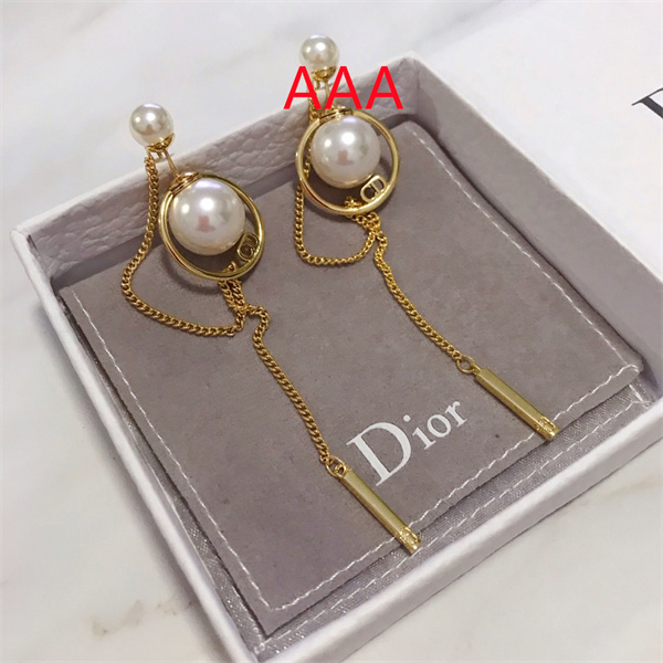 Dior Earrings-144