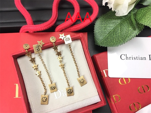 Dior Earrings-015