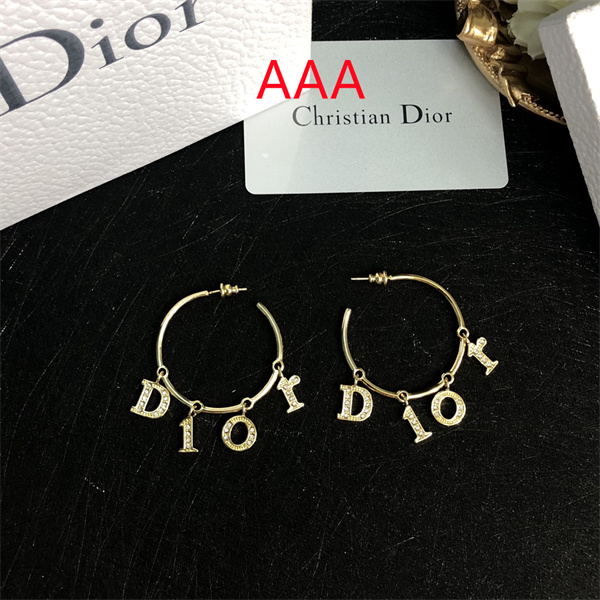 Dior Earrings-150