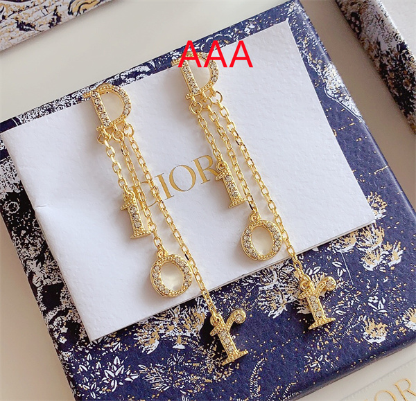 Dior Earrings-159