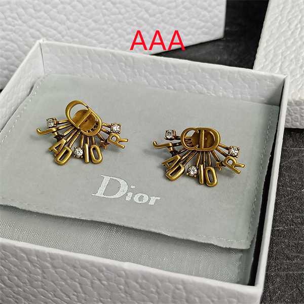 Dior Earrings-165