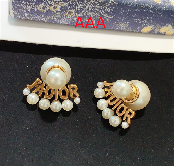 Dior Earrings-177