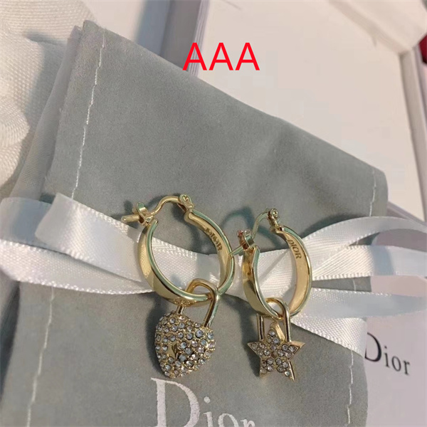 Dior Earrings-018