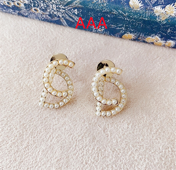 Dior Earrings-184
