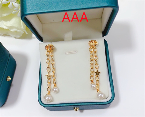 Dior Earrings-185