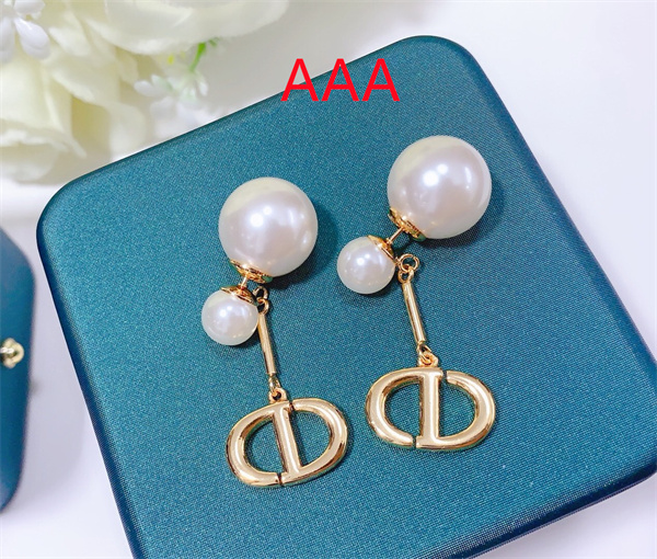 Dior Earrings-188