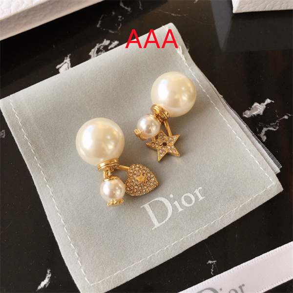 Dior Earrings-190