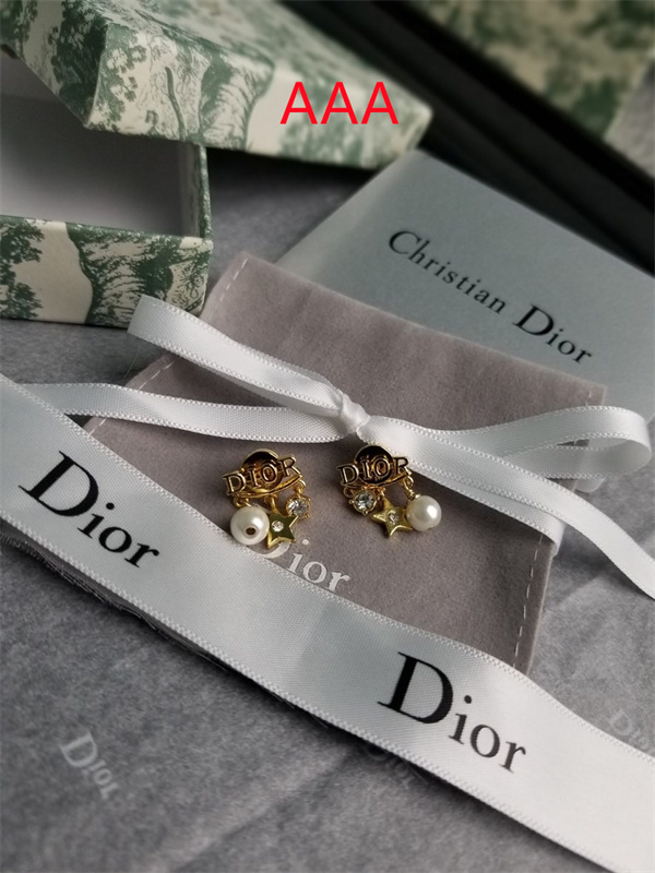 Dior Earrings-002