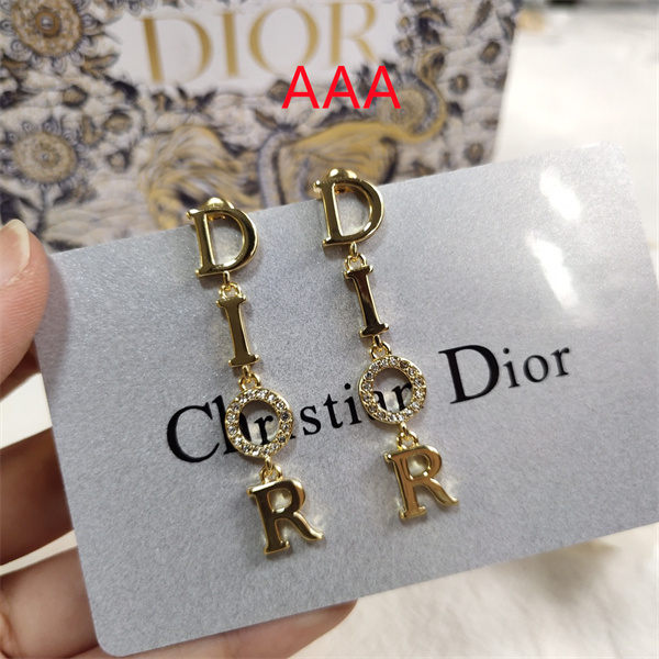 Dior Earrings-204