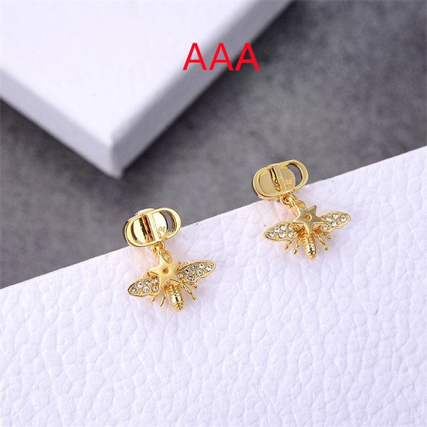 Dior Earrings-215