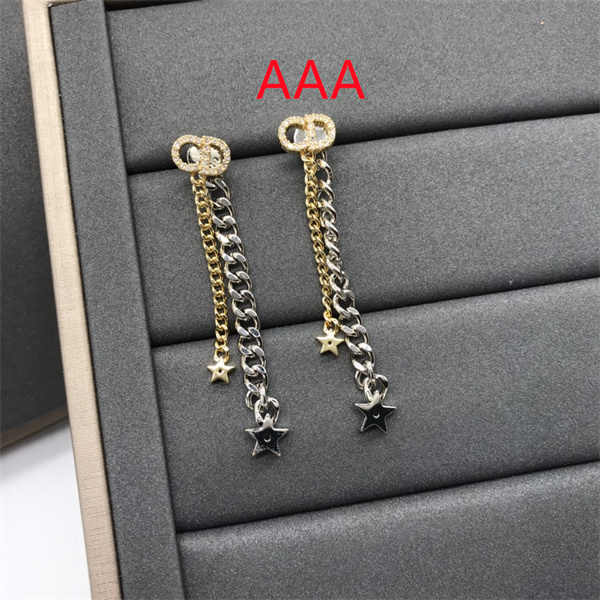 Dior Earrings-220