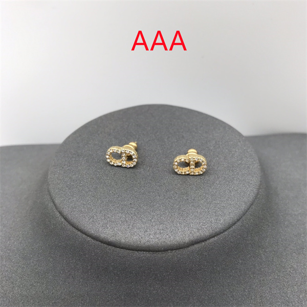 Dior Earrings-221