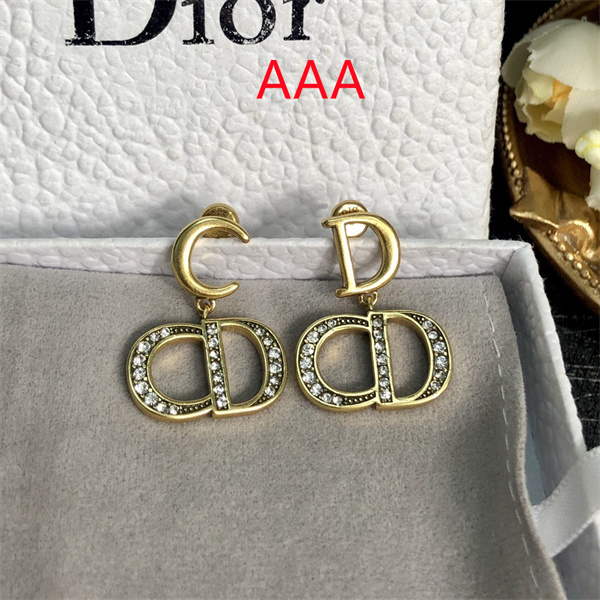 Dior Earrings-230