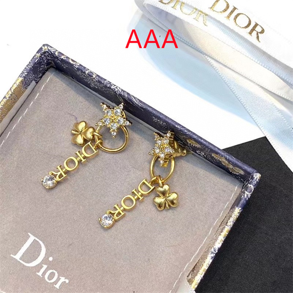 Dior Earrings-233
