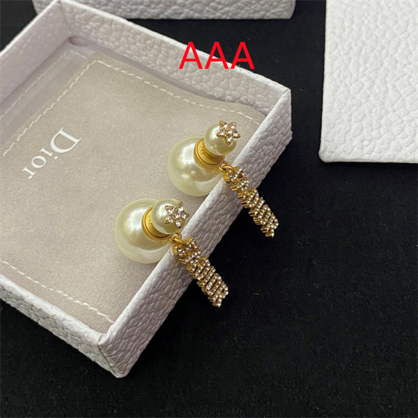 Dior Earrings-252