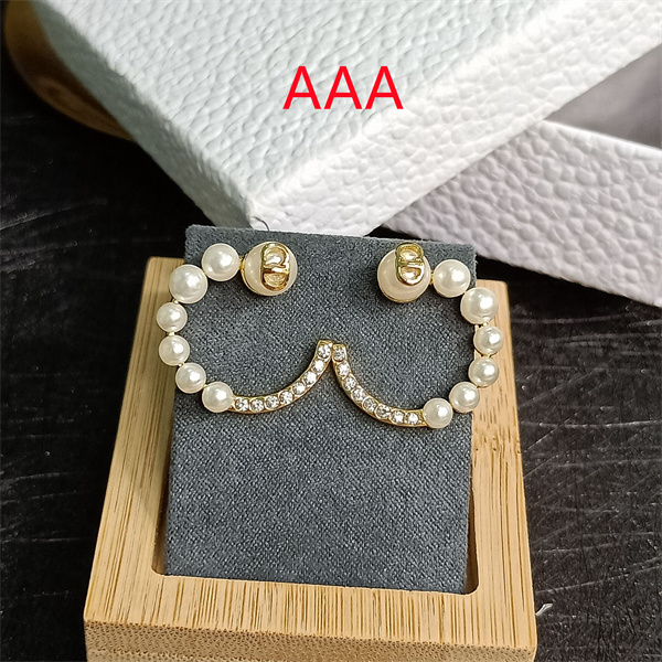 Dior Earrings-255