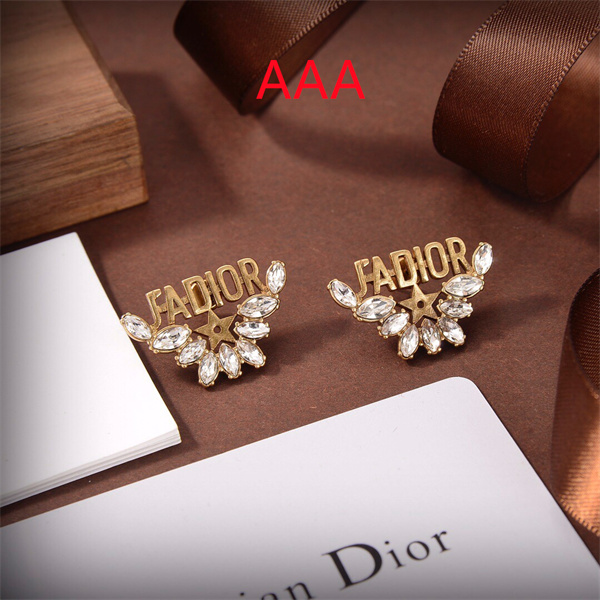 Dior Earrings-256