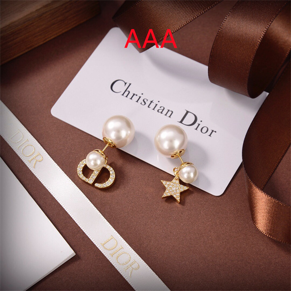 Dior Earrings-271