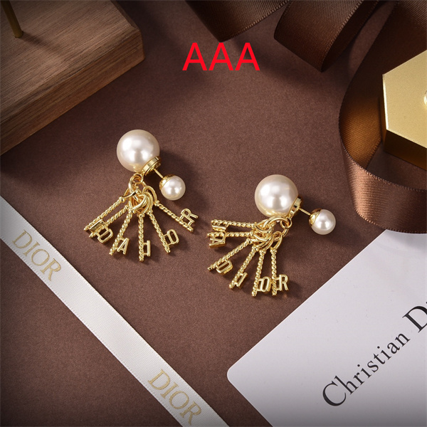 Dior Earrings-275