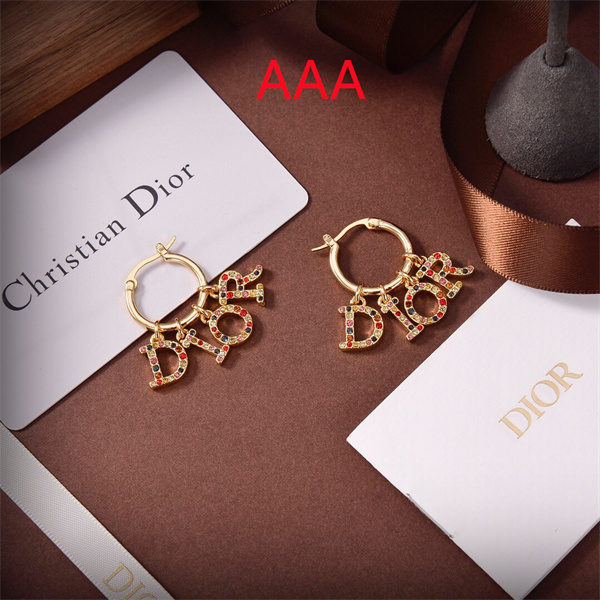 Dior Earrings-282