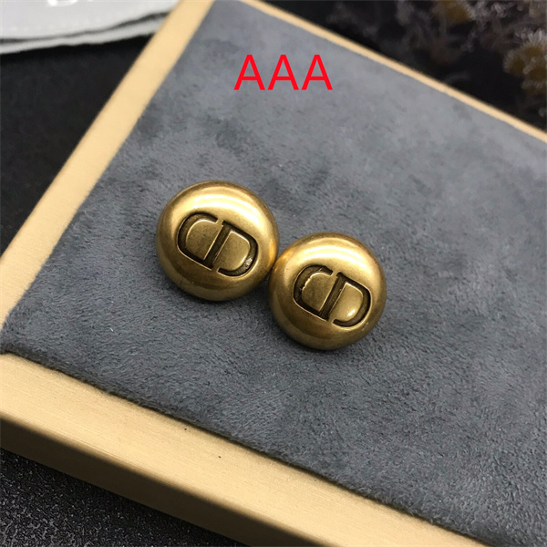 Dior Earrings-287