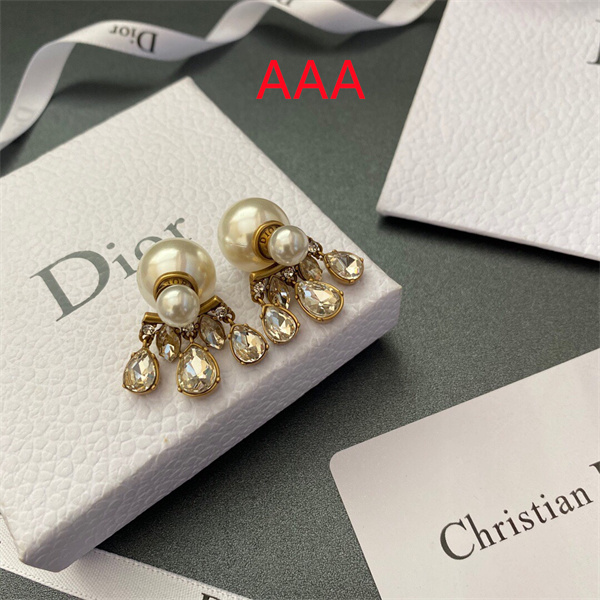 Dior Earrings-291