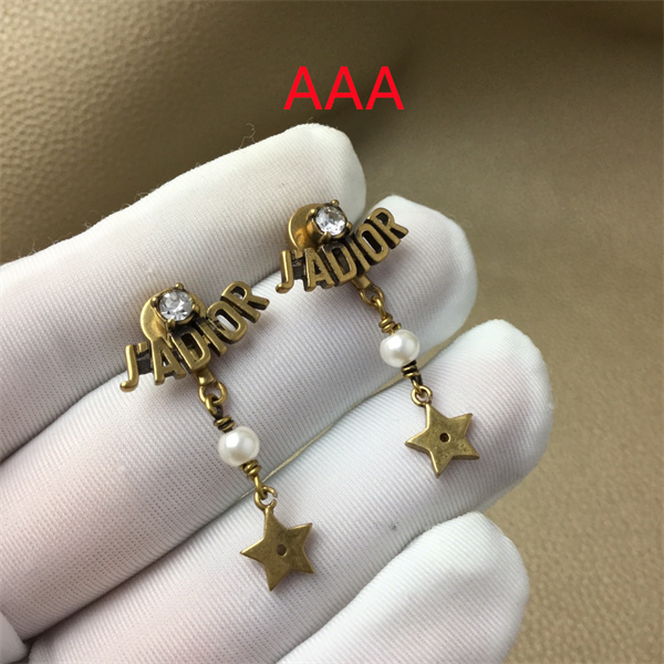 Dior Earrings-298