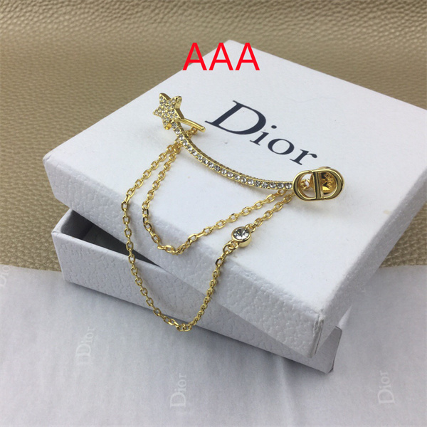 Dior Earrings-299