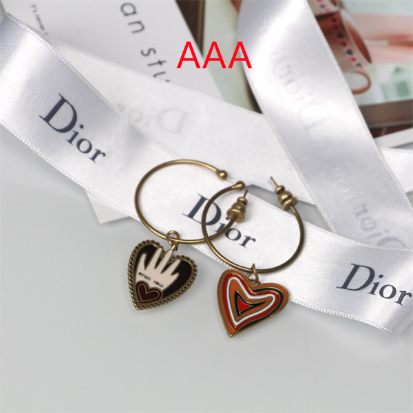 Dior Earrings-003